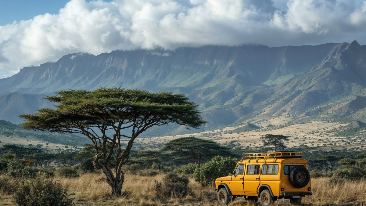 Discover How & Why a Tourism Management Course Will Take You Places